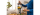 Bosch SDA Standmixer VitaPower Serie 4 1200 MMB6382MN