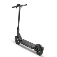 ACER E-Scooter 5 Advance Straßenzulassung gem....