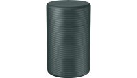 Samsung VG-SCLA00G Freestyle Case