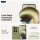 MOTOROLA moto g67 5G, 128 GB, Nile green XT2621-2