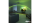 Philips 43PQS8501/12, QLED-Fernseher 108 cm (43 Zoll), schwarz, UltraHD/4K, Ambilight 3-seitig